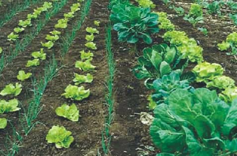 Se realiza mañana una reunión con productores sobre herramientas agroecológicas