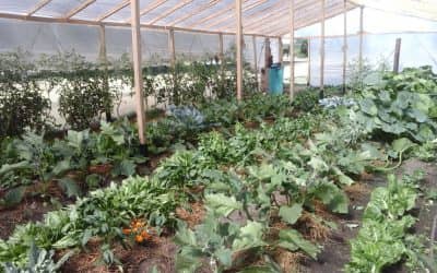 Lanzamiento del Programa AgroEmprende en Trenque Lauquen