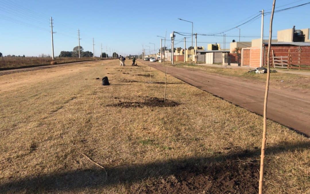 PLANTACIÓN DE ÁRBOLES EN LA AU, ECOCANJE DOMICILIARIO Y EL LANZAMIENTO DE UN CONCURSO,  POR EL DÍA MUNDIAL DEL AMBIENTE