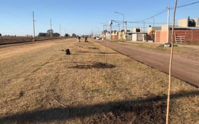 PLANTACIÓN DE ÁRBOLES EN LA AU, ECOCANJE DOMICILIARIO Y EL LANZAMIENTO DE UN CONCURSO,  POR EL DÍA MUNDIAL DEL AMBIENTE