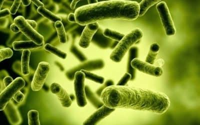 Desde Salud aconsejan el uso de preservativos para prevenir la sífilis