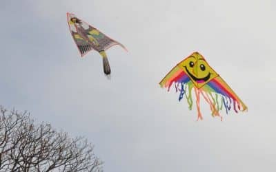 ESTE DOMINGO (18) HABRÁ UNA BARRILETEADA POR EL DÍA DE LA FAMILIA