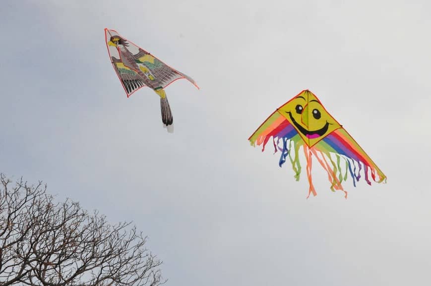 ESTE DOMINGO (18) HABRÁ UNA BARRILETEADA POR EL DÍA DE LA FAMILIA