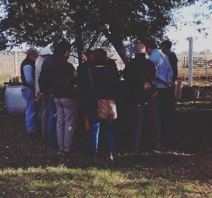 EL GRUPO DE “PRODUCTORES EN TRANSICIÓN” A LA AGROECOLOGÍA BUSCA ELABORAR BIOFERTILIZANTES