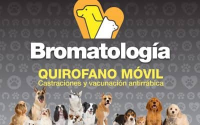 Cronograma del quirófano móvil municipal