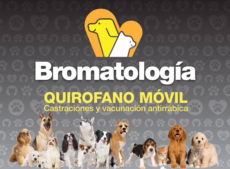 Nuevo número de teléfono para Casilla Bromatológica