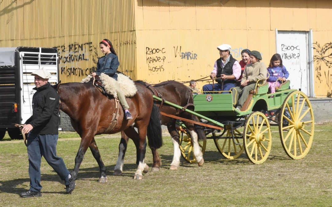 DIA DEL NIÑO: BAJO EL SOL SE REALIZARON PASEOS EN PONYS, CABALLOS Y CARRUAJES