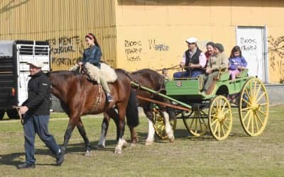 DIA DEL NIÑO: BAJO EL SOL SE REALIZARON PASEOS EN PONYS, CABALLOS Y CARRUAJES