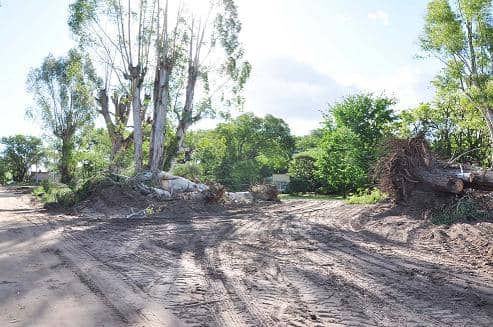 Ensanchamiento calle Orellana
