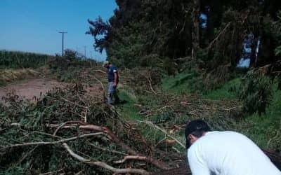 FUERTES VIENTOS PROVOCARON LA CAIDA DE MUCHOS ARBOLES EN EL CAMINO 21