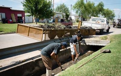 Trabajos para la prevención de Dengue