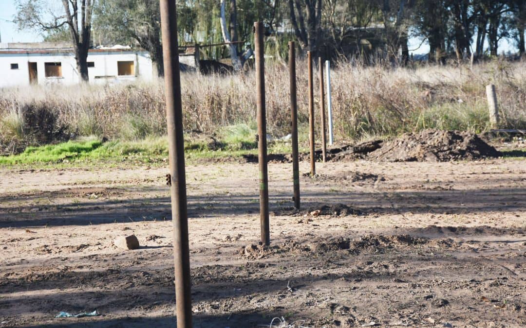 Avanza el tendido de alambrado y columnas en el predio donde funcionará el refugio canino