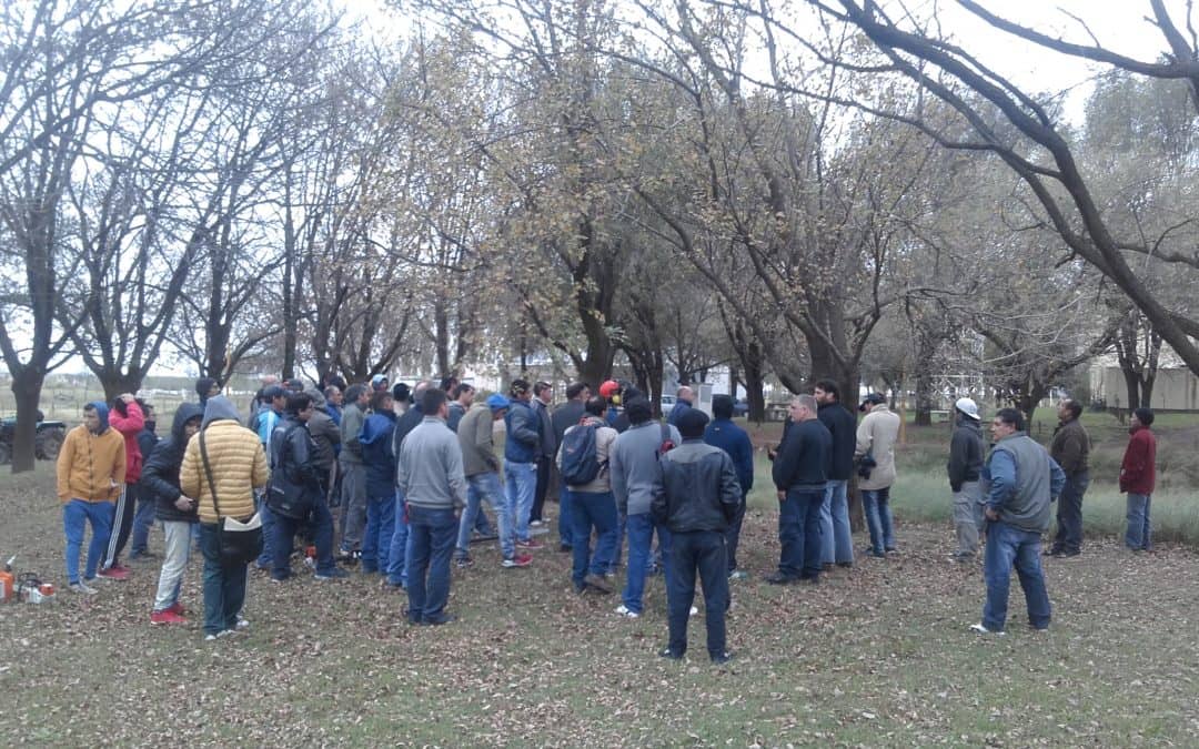 El equipo de poda municipal realizó una capacitación en General Pico