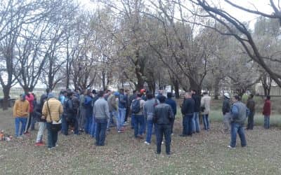 El equipo de poda municipal realizó una capacitación en General Pico