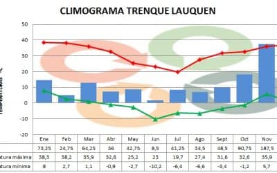 TRENQUE LAUQUEN: CUALES FUERON EN 2018 LOS MESES MAS LLOVEDORES Y DE TEMPERATURAS PROMEDIO MAS ALTA Y BAJA