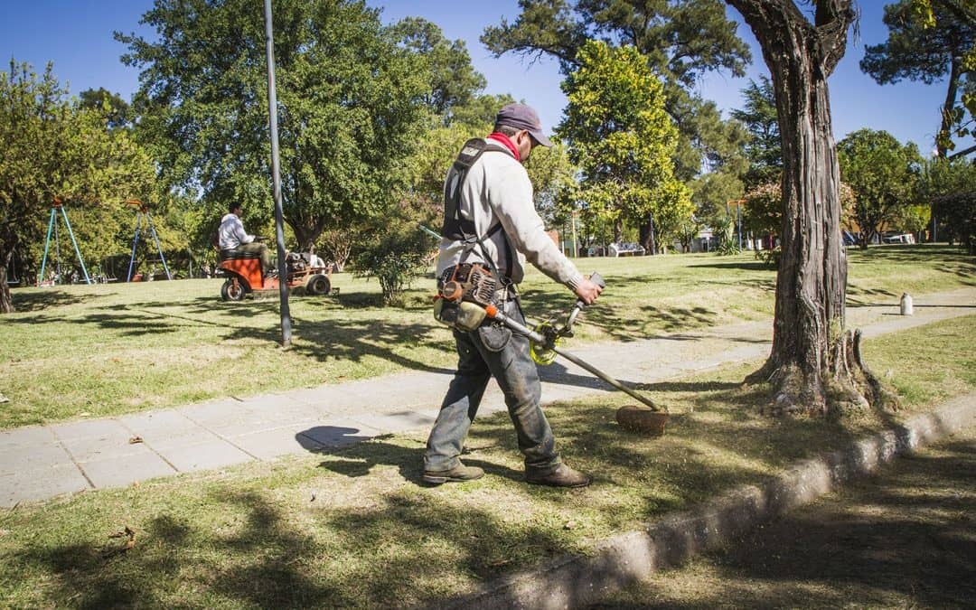 Corte de pasto en distintos puntos de la ciudad
