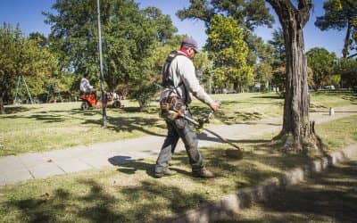 Corte de pasto en distintos puntos de la ciudad