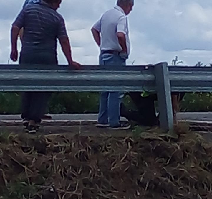PUENTE DE CUERO DE ZORRO:  EL INTENDENTE FERNÁNDEZ INFORMÓ QUE SE CORTARÁ  EL TRÁNSITO PARA TODO TIPO DE VEHÍCULOS EN LA RUTA Nº33, ENTRE LAS RUTAS Nº5 Y Nº188