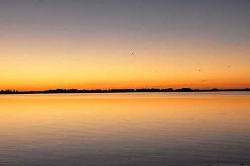 Proyecto de parcelamiento de la costa de la laguna de Cuero de Zorro