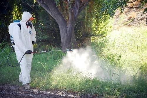 Y POR FUMIGACIONES DOMICILIARIAS CONTRA MOSQUITOS | Municipalidad de Trenque