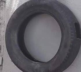 ZOONOSIS MONITOREA LA POBLACIÓN DE MOSQUITOS TRANSMISORES DE DENGUE EN 12 PUNTOS URBANOS Y RECOMIENDA MEDIDAS PREVENTIVAS