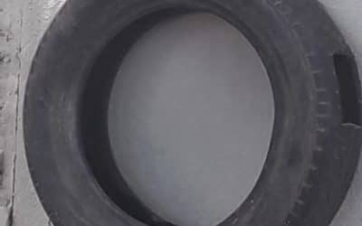 TÉCNICOS DE PROVINCIA VENDRÁN EN ENERO A DESRATIZAR ZONAS URBANAS Y FUMIGAR CONTRA LOS MOSQUITOS