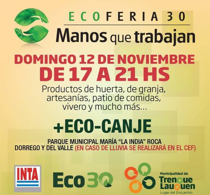 Este domingo habrá EcoFeria en 30 de Agosto