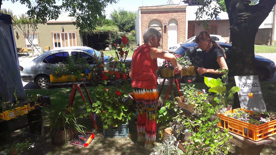 EcoFeria 30: se realizará en el Parque este domingo (11)