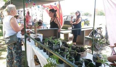 La feria EcoFines celebra este sábado su segundo aniversario