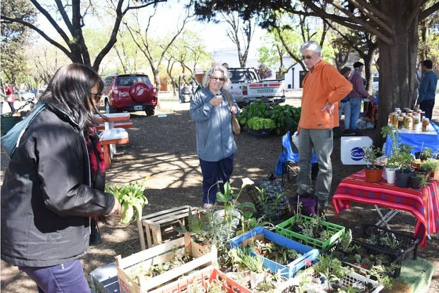 LA ECOFINES VERDE VUELVE A INSTALARSE MAÑANA (SÁBADO) EN LA PLAZOLETA BROWN PERO CAMBIA DE HORARIO: DE 9 A 13