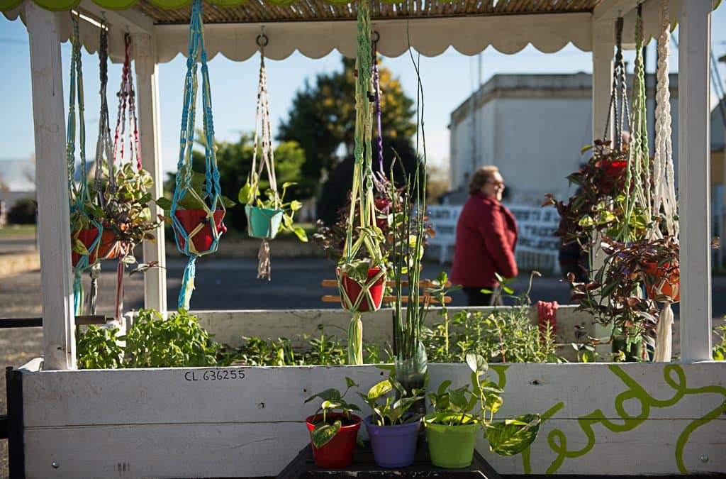 Se realizó una nueva Feria EcoFines Verde