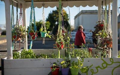 Se realizó una nueva Feria EcoFines Verde