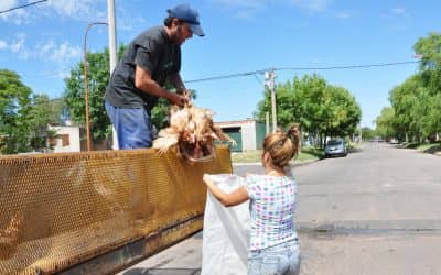 Se realiza una nueva entrega de gallinas en los CAPS