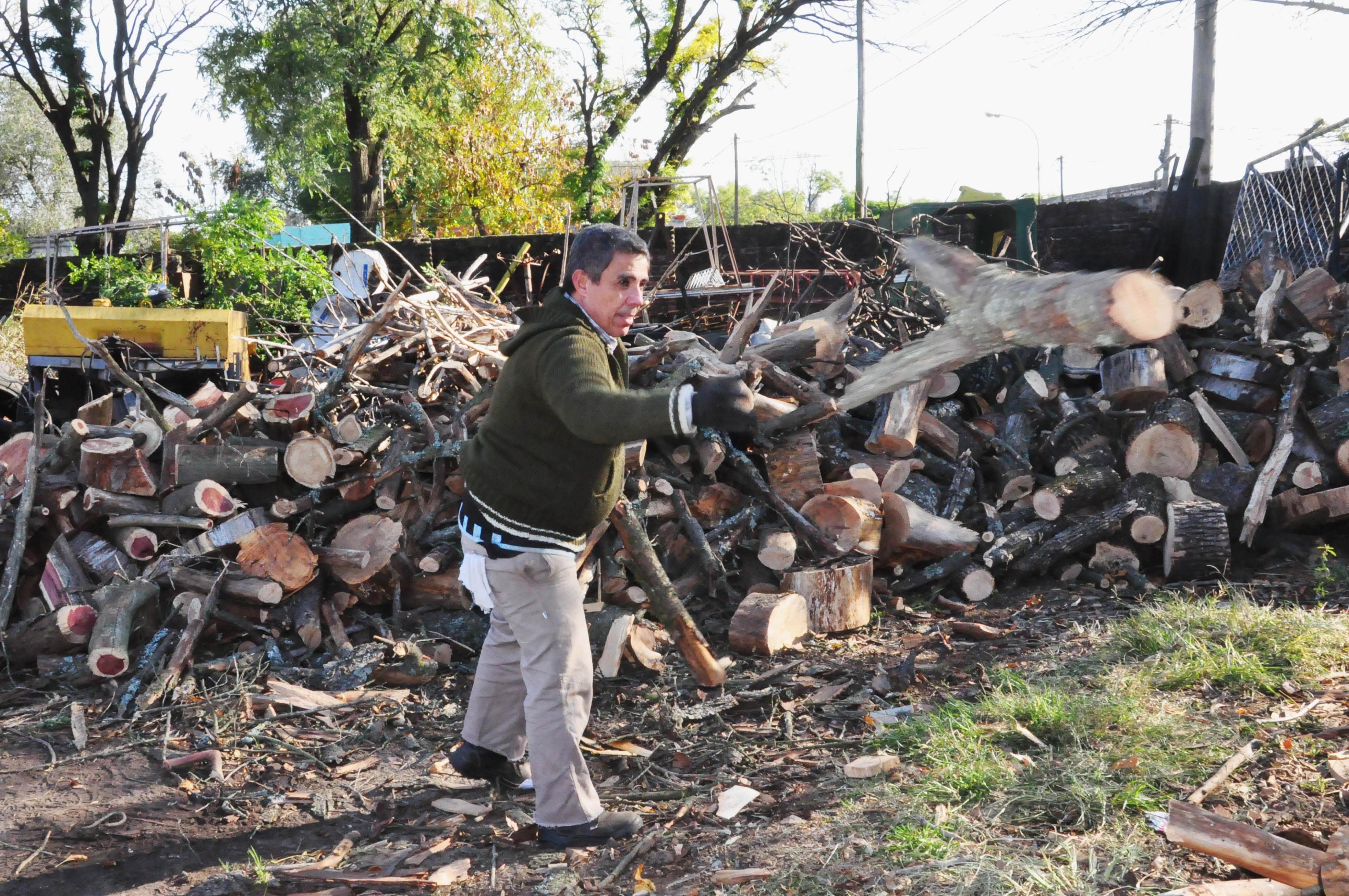 Comenzó la entrega de leña