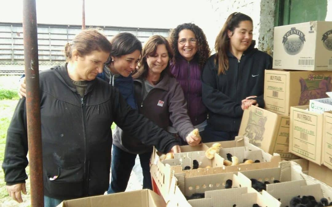 Se entregaron insumos para horticultores, viveristas y alimento para ponedoras