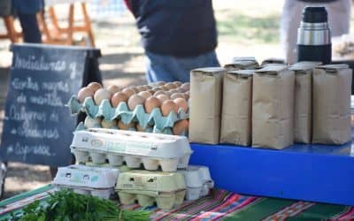 SÁBADO DE FERIA, SÁBADO DE ECOFINES VERDE