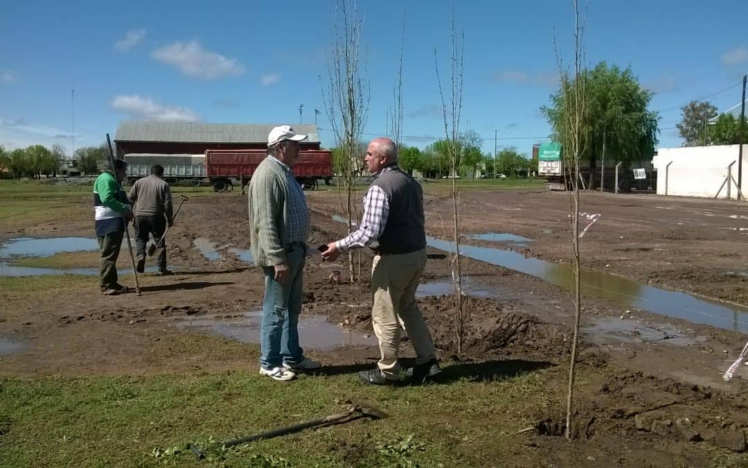 Plan de forestación en el lugar destinado a proyecto del PP