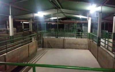 REABRIRA SUS PUERTAS EL FRIGORIFICO AVILA, LUEGO DE UN TRABAJO CONJUNTO ENTRE EL MUNICIPIO Y LOS PROPIETARIOS