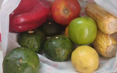 CÓMO LAVAR Y SANITIZAR LAS FRUTAS Y VERDURAS Y EL RESTO DE LOS PRODUCTOS QUE COMPRAMOS