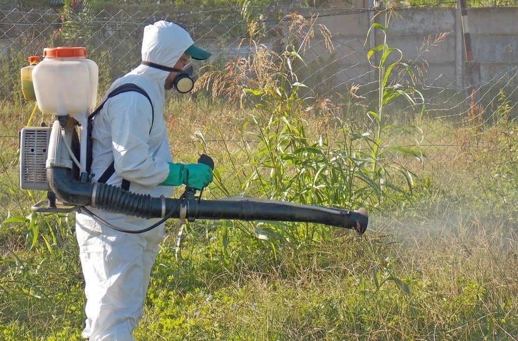 El Municipio inició la fumigación de espacios verdes del distrito