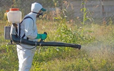 El Municipio inició la fumigación de espacios verdes del distrito