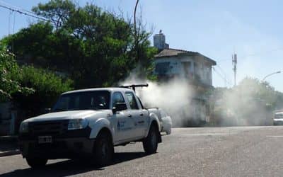 Se realizan operativos anticipados contra el dengue