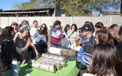 Instancia práctica de la capacitación sobre Soberanía alimentaria y Producción y elaboración de hongos comestibles