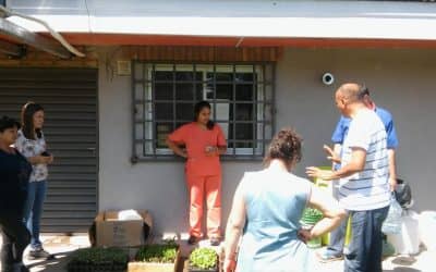 LA UNIDAD HORTÍCOLA DE 30 DE AGOSTO ENTREGÓ PLANTINES PARA LAS HUERTAS DE LOS CAPS