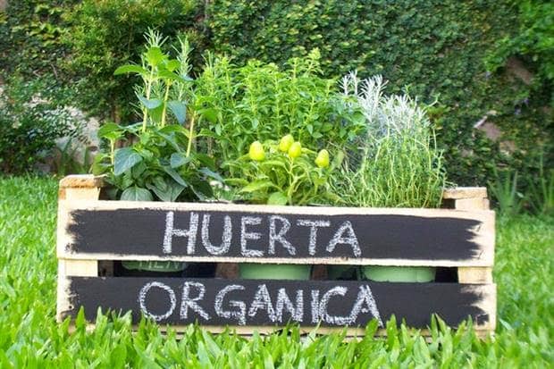 Soberanía alimentaria, huerta ecológica y producción y elaboración de hongos comestibles