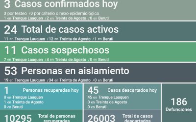 COVID-19: LOS CASOS ACTIVOS SON 24, TRAS CONFIRMARSE TRES NUEVOS POSITIVOS, RECUPERARSE UNA PERSONA MÁS Y DESCARTARSE 45 CASOS