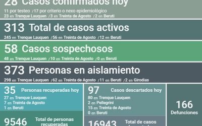 COVID-19: LOS CASOS ACTIVOS EN EL DISTRITO SON 313