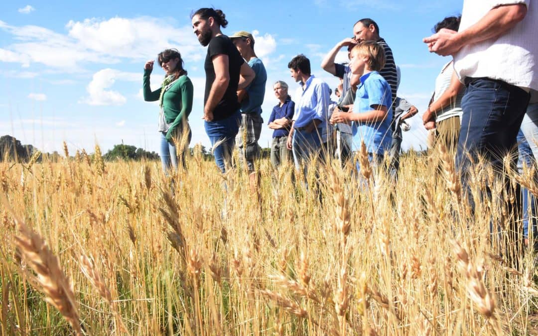 INTERCAMBIO DE EXPERIENCIAS EN LA PRIMERA JORNADA DE PRODUCTORES AGROECOLOGICOS