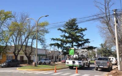 Ya se hizo el recambio de luces led en calle Lagos y ahora, en la Roca