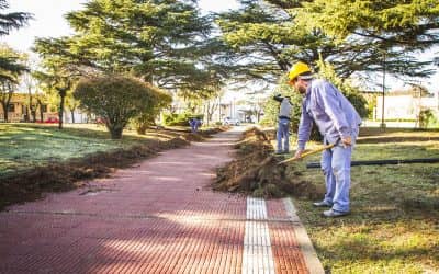 El Municipio avanza con la instalación de 60 luminarias led en plaza Italia